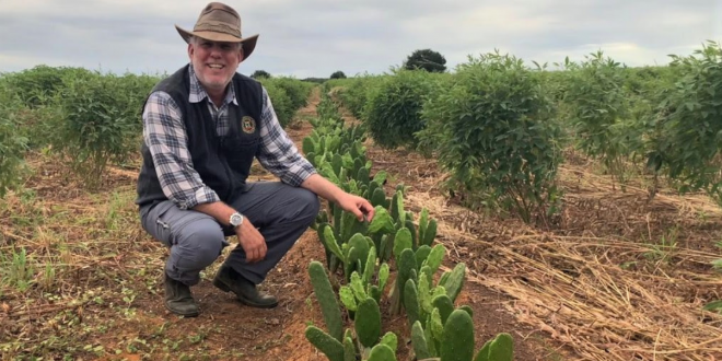 Fazenda Mata Branca, Tabuleiro do Norte - CE