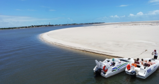 Ilha da Sogra em Sergipe