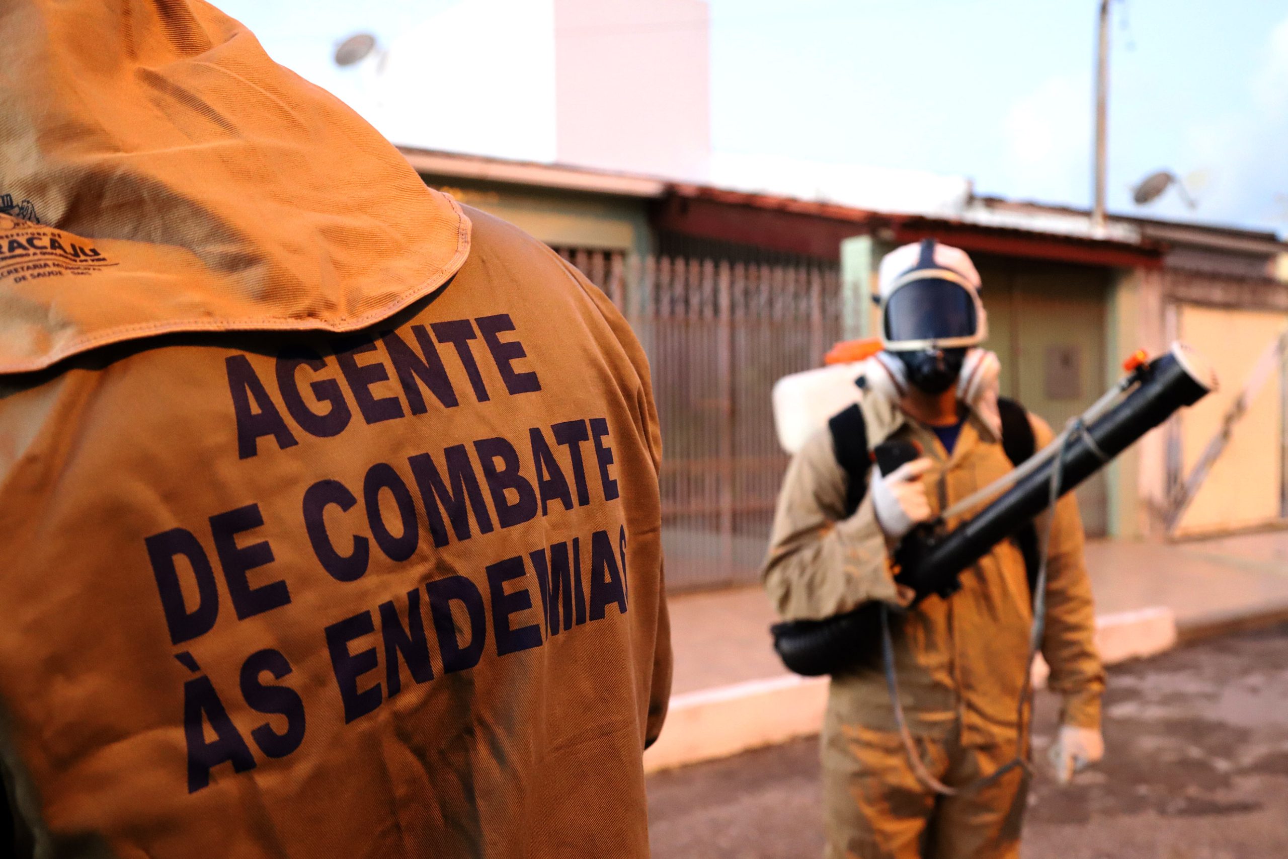 Prefeitura orienta população a combater o mosquito da dengue; em Aracaju, 75% dos focos estão nas residências