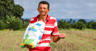 Programa Sementes do Futuro contribui para a produção de milho em Sergipe