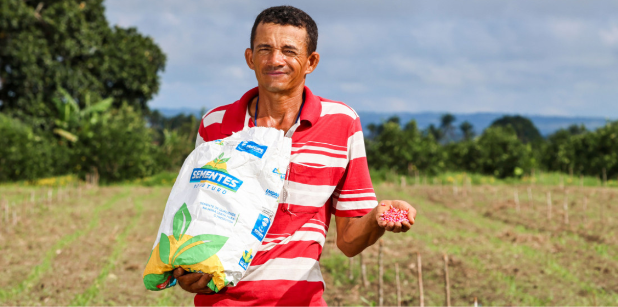 Programa Sementes do Futuro contribui para a produção de milho em Sergipe