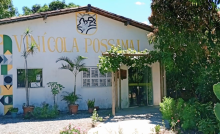 Vinícola Possamai