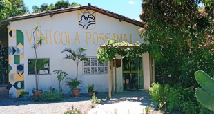 Vinícola sergipana quer produzir 10 mil litros este ano