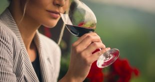 Wine Festival reúne os amantes de vinhos em torno de rótulos internacionais