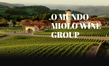 Miolo