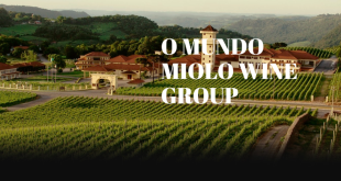 Família Miolo: Tradição do vinho no Brasil começa em 1897 no Vale dos Vinhedos