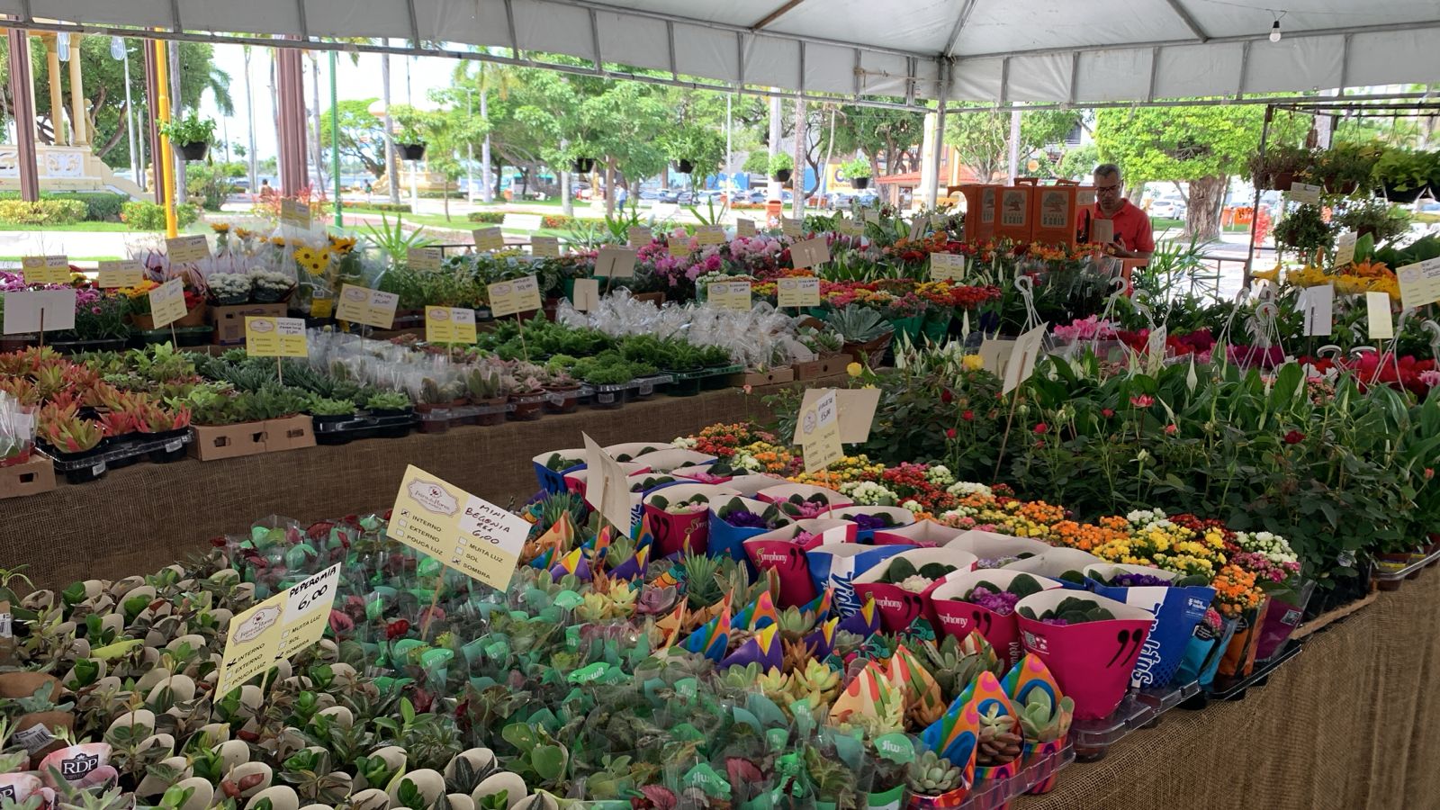 Feira Holambra Aracaju