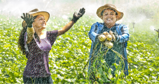 Empreeededoras: Marina e Márcia