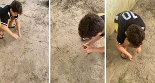 brincadeira, bola de gude