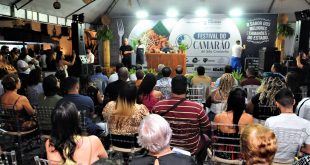 Festival do Camarão