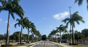 Parque da Sementeira