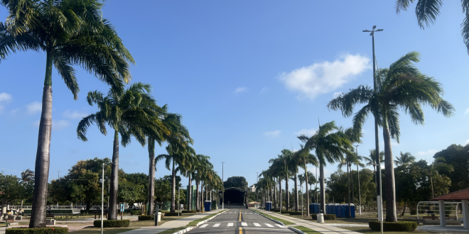 Parque da Sementeira