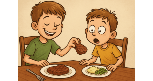 Um pedaço de carne no prato