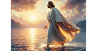 Simbiose entre a pessoa e seu legado