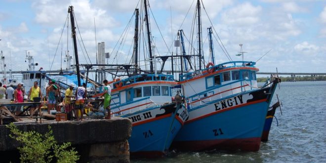 Embarcações pesqueiras