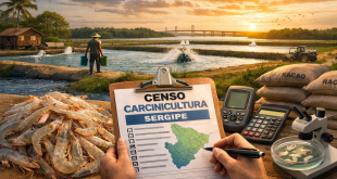 Censo inédito vai mapear carcinicultura e destravar potencial de Sergipe