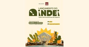 Cartaz do Indei