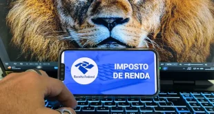 Receita abre consulta a lote da malha fina do Imposto de Renda