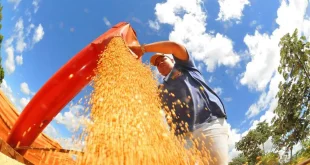 Atividade econômica brasileira cresce 0,6% em fevereiro