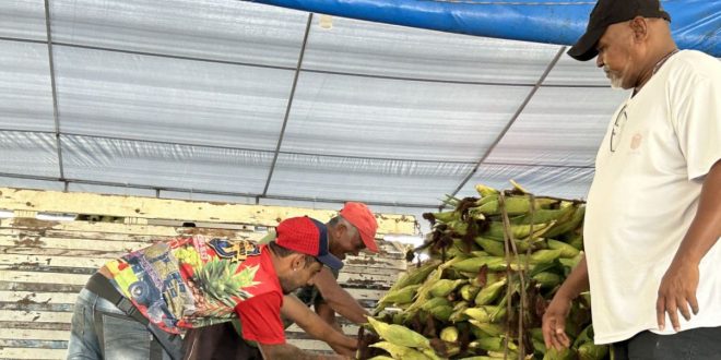 Ceasa Aracaju, milho