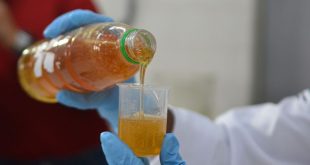 ITPS alerta sobre risco à saúde causado por mel adulterado ou contaminado