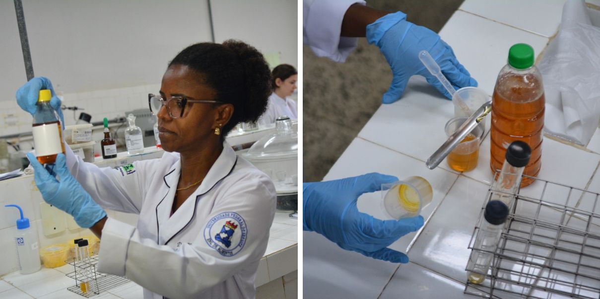 mel, em laboratório