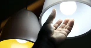 Nordeste está entre as regiões beneficiadas por redução bilionária na conta de luz