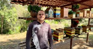 Da depressão à meliponicultura: o recomeço que encontrou nas abelhas um caminho