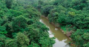 1° Fórum Meio Ambiente e Tecnologias de Sergipe acontece nesta quinta-feira, 30 de julho