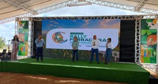 Rally forrageiras para o semi-árido