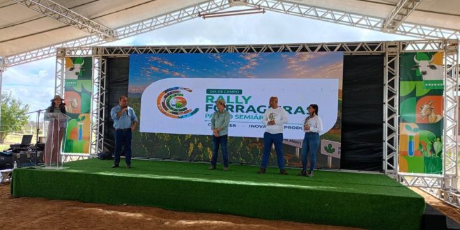 Rally forrageiras para o semi-árido