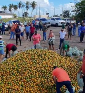 Crise da laranja