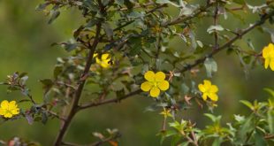 Primavera chega a Sergipe com temperaturas acima da média