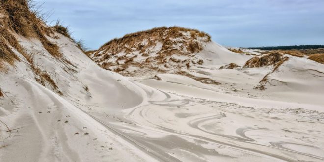 Dunas
