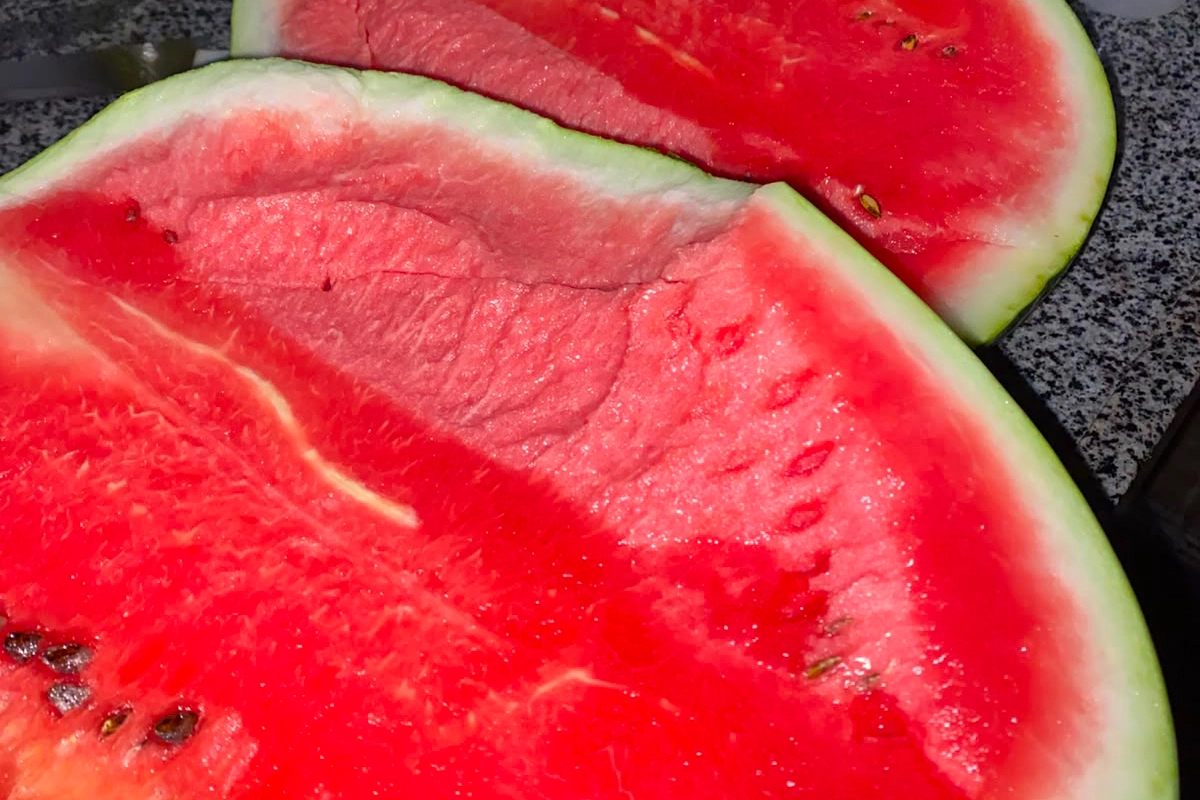 Melancia produzida no sertão sergipana Foto: Acervo Pessoal