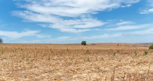 Previsão indica semana de sol e altas temperaturas em Sergipe