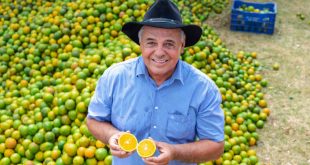 Exportações do agronegócio de Sergipe somam US$ 71,29 milhões em 2026