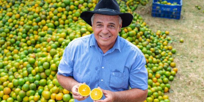 produtor de laranja